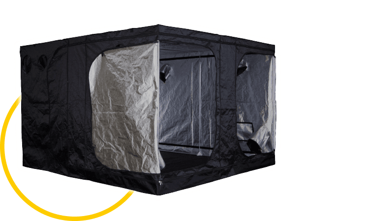 Mammoth Pro+ 2m (200cm) – 300