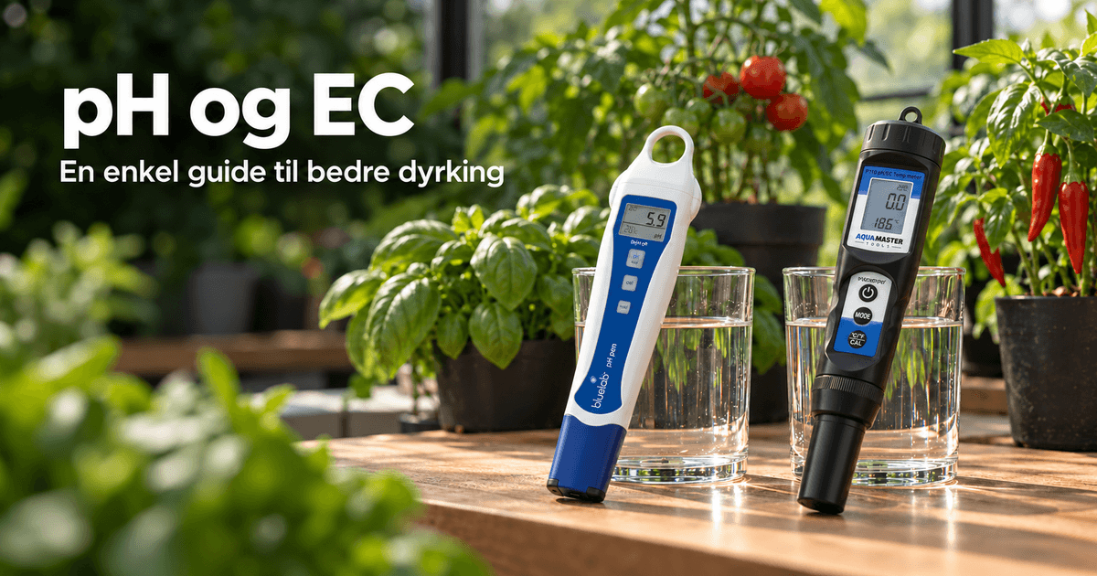 pH og EC ved dyrking: En enkel guide for nybegynnere