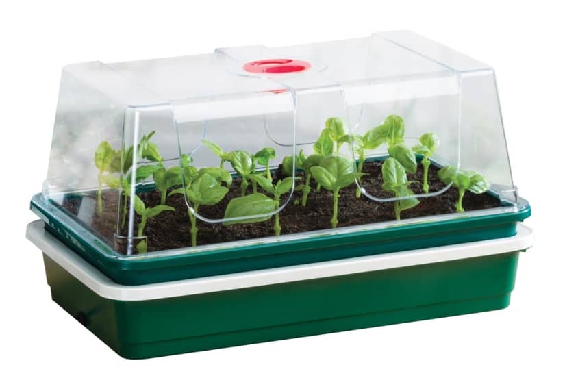 GARLAND One Top Electric Propagator