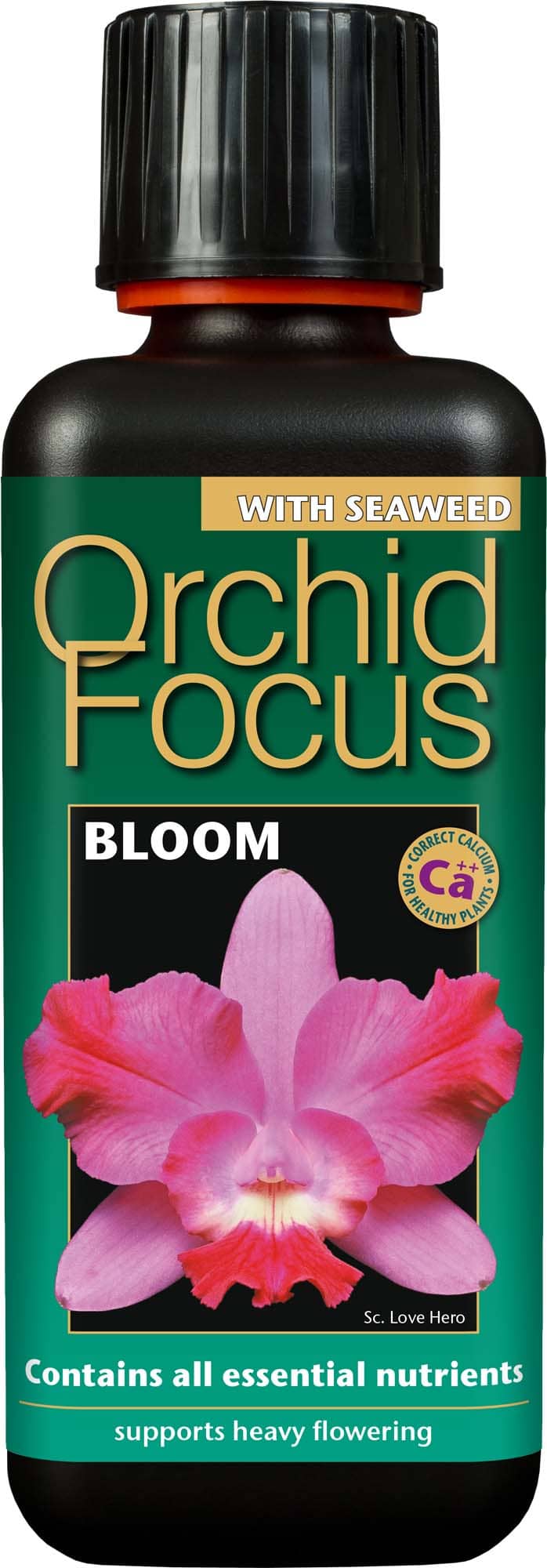 Orchid Focus Bloom – 300ml