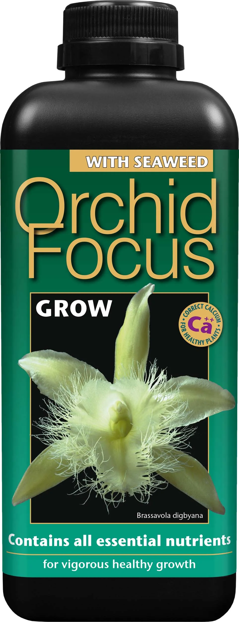 Orchid Focus Grow – 1L