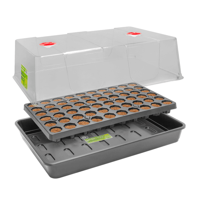 ROOT!T Dry Peat Free 60 Cell Propagator Kit