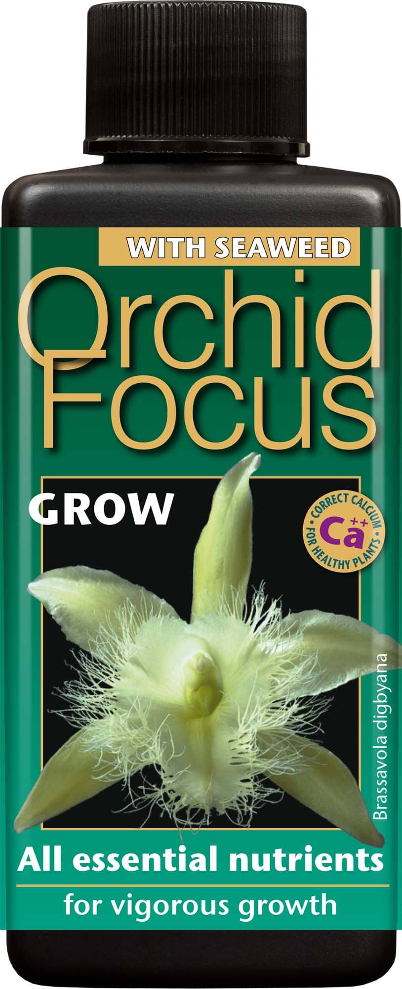 Orchid Focus Grow – 100ml