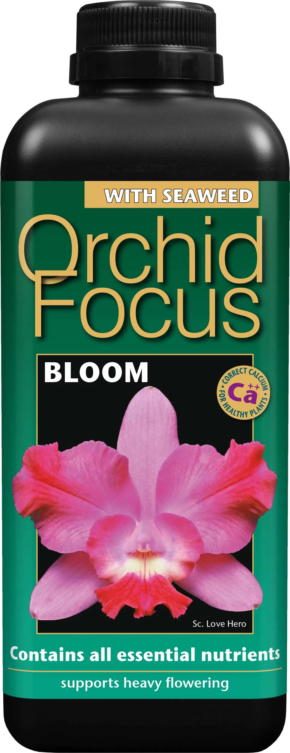 Orchid Focus Grow & Bloom – 1L