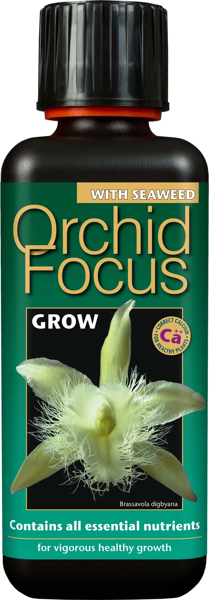 Orchid Focus Grow – 300ml