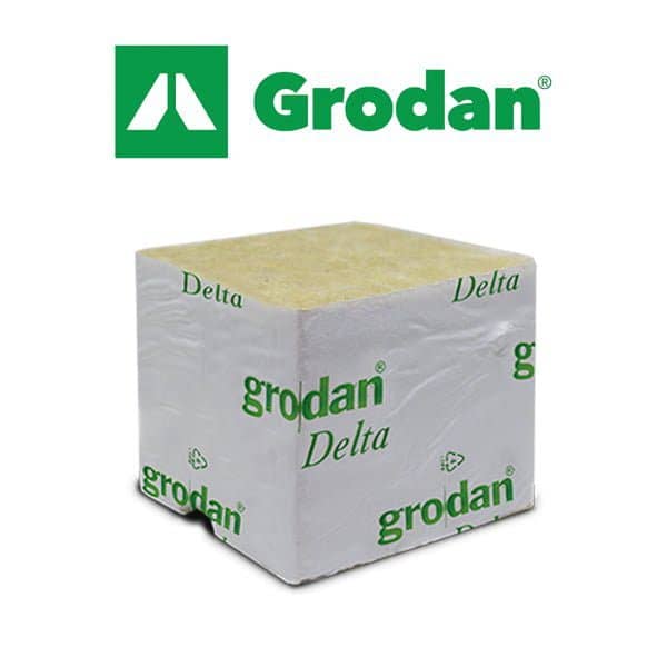 Grodan Rockwool kube 7,5×7,5×6,5