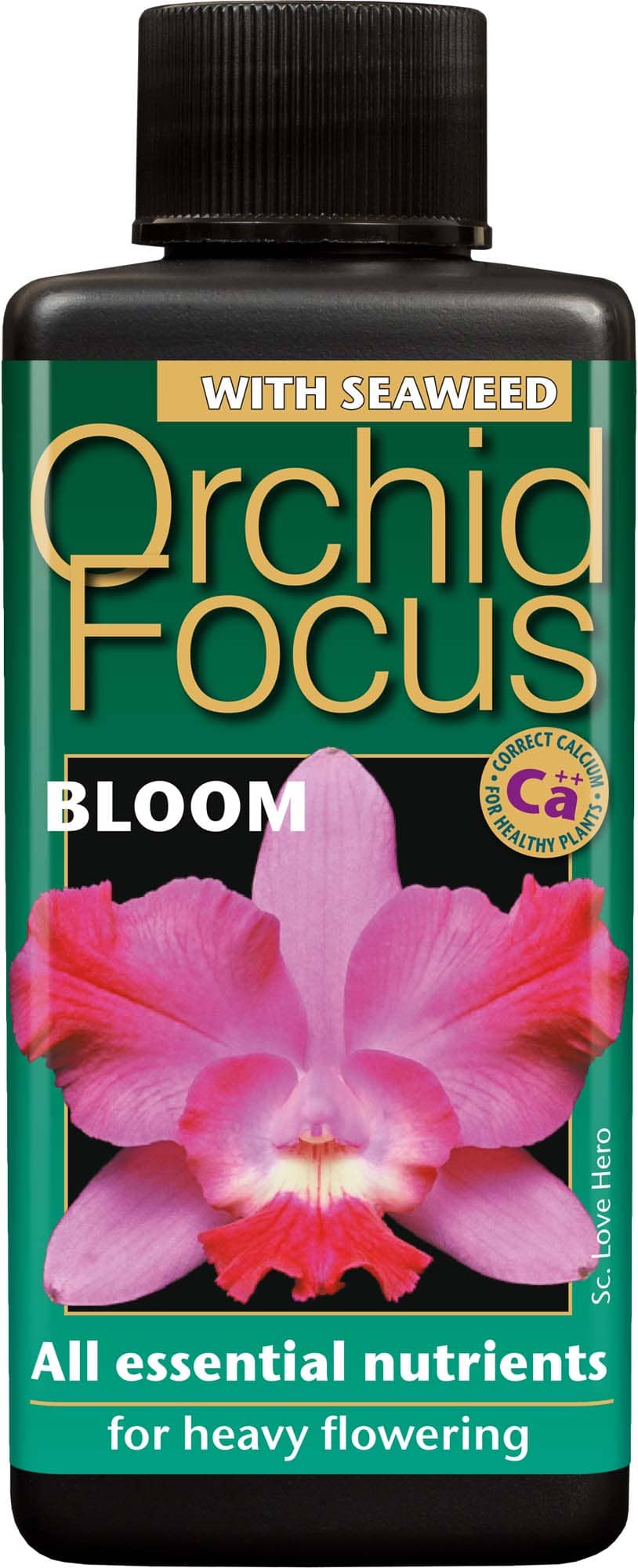 Orchid Focus Bloom – 100ml