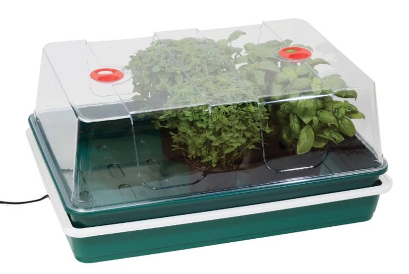 GARLAND XL High Dome Electric Propagator